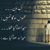 Laghari S. Ahmed's profile image