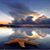 Kathy Vitale's profile image