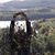 Tracy McCoey's profile image
