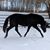 Heather Seibert's profile image