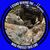 Richard Brown's profile image