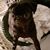 Debbie Gallucci's profile image
