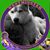 Kathleen Byrd's profile image