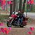 Doreen Haimann's profile image