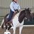 Debra McCarthy's profile image