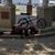 Austin Crenshaw's profile image