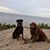 Kayla BeVier's profile image