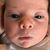 Tom LaFontaine's profile image
