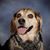 Kaleen Peck Vaden's profile image