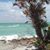 Christy Gough's profile image