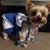 Sharon Schultz-Remillard's profile image
