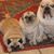 Bekki Turnbull's profile image
