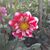 Marilyn Smith's profile image