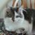 Carla H. Broughton's profile image