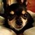 Missie Sexton's profile image