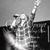 Michelle Johnston Willits's profile image