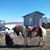 Gloria Sepulveda Mariscal's profile image