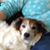 Mary Anne Clark's profile image