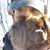 Samantha Jane Galles-Laurencot's profile image
