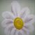 Susan Walter-Misenhelder's profile image