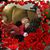 Donna Bartlett's profile image