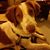 M Stacie Libey Poppell's profile image