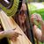 Terri HarpLady Langerak's profile image