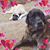 Gilda Crovetti's profile image