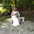 Mark Riffelbach's profile image