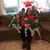 Diana Cicalese Carrano's profile image