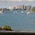 Sherri Paszli's profile image