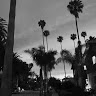 Mulholland's profile image