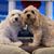 Tina Fahey-Oggeri's profile image