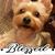 Anne Young's profile image