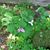 Kathy Stevenson Reed's profile image