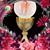 Juan M Troncoso's profile image