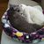 Nancy M. Knapp's profile image