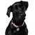 Kristie Markwell's profile image