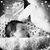 Susan Antonio Diddlebock's profile image