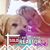 Linda D'Agostino's profile image