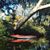 Sarah Phinney's profile image