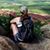 Catherine Lischer's profile image