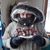 Nita Wolf's profile image