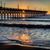 Tina Bell Phillips's profile image