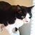 Sara Clewell's profile image