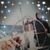 Elisabet Johnson's profile image