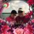 Terry Cornelison Sinclair's profile image