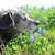 Cathy Breaux Price's profile image