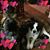 Susan Vickery's profile image