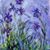 Lisa Fry's profile image